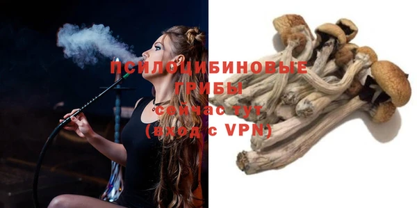 ALPHA PVP Кулебаки
