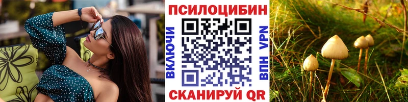 Галлюциногенные грибы мицелий  Купить  Кореновск 